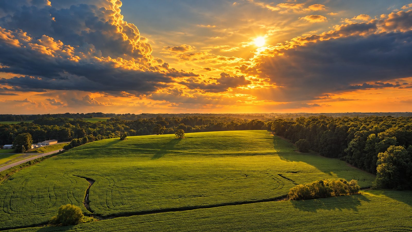 Sunlight over the open fields