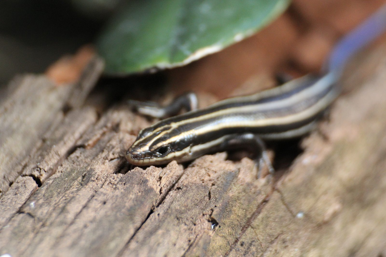 At ground level